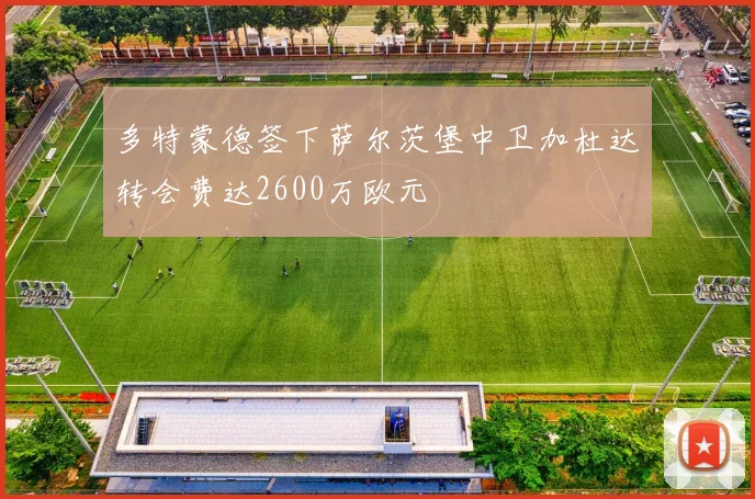 多特蒙德签下萨尔茨堡中卫加杜达转会费达2600万欧元