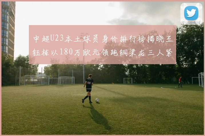 中超U23本土球员身价排行榜揭晓王钰栋以180万欧元领跑铜梁龙三人紧随其后
